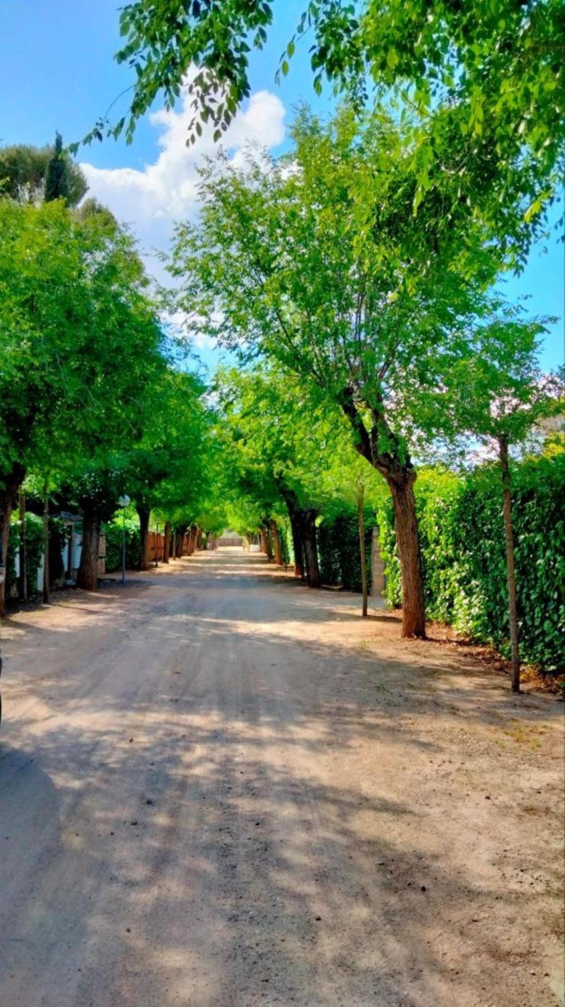 Holiday home Arboledas Rural Baeza