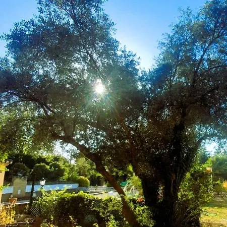 Las Arboledas Alojamiento Rural Baeza Exterior photo