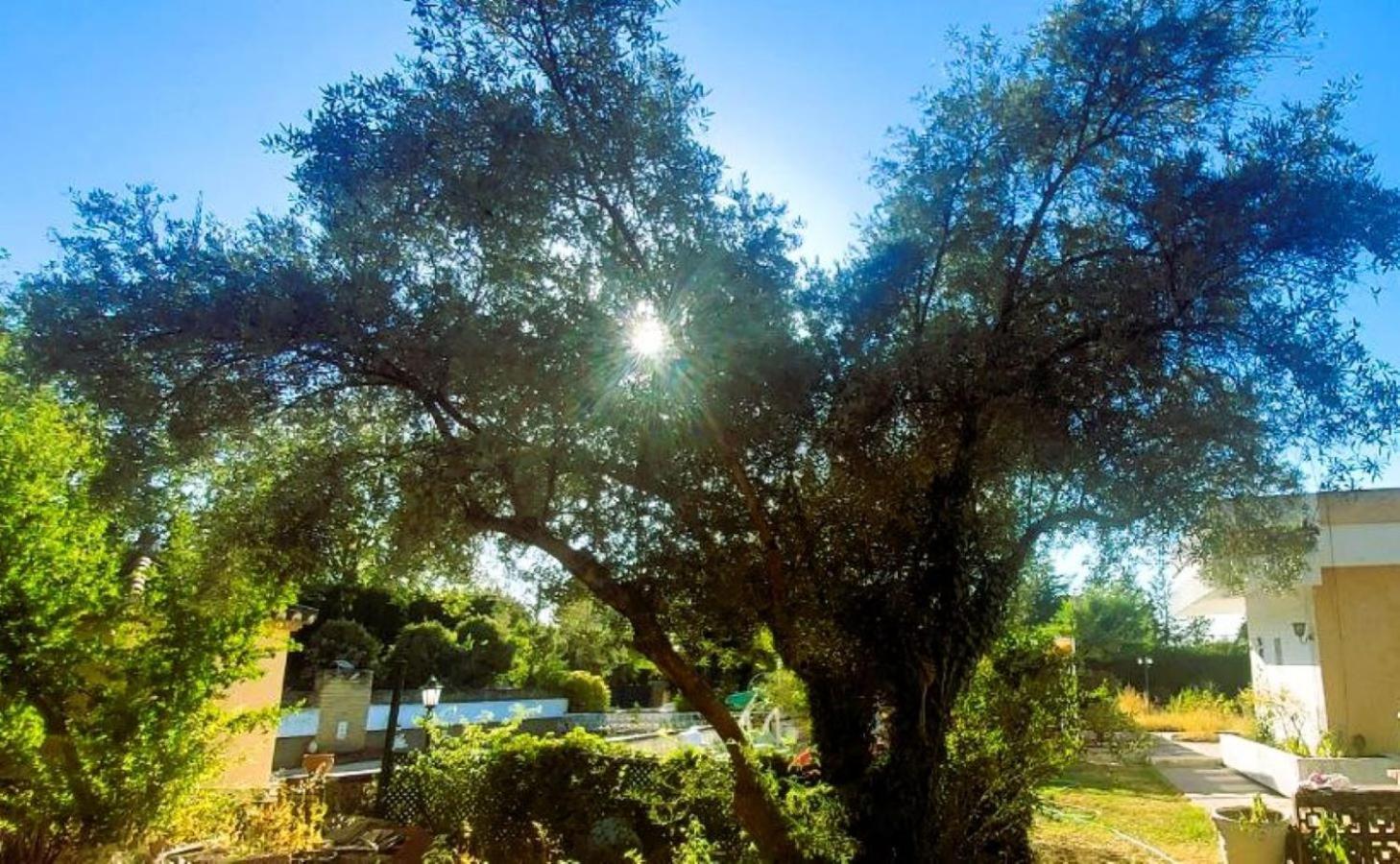 Vakantiehuis Arboledas Rural *