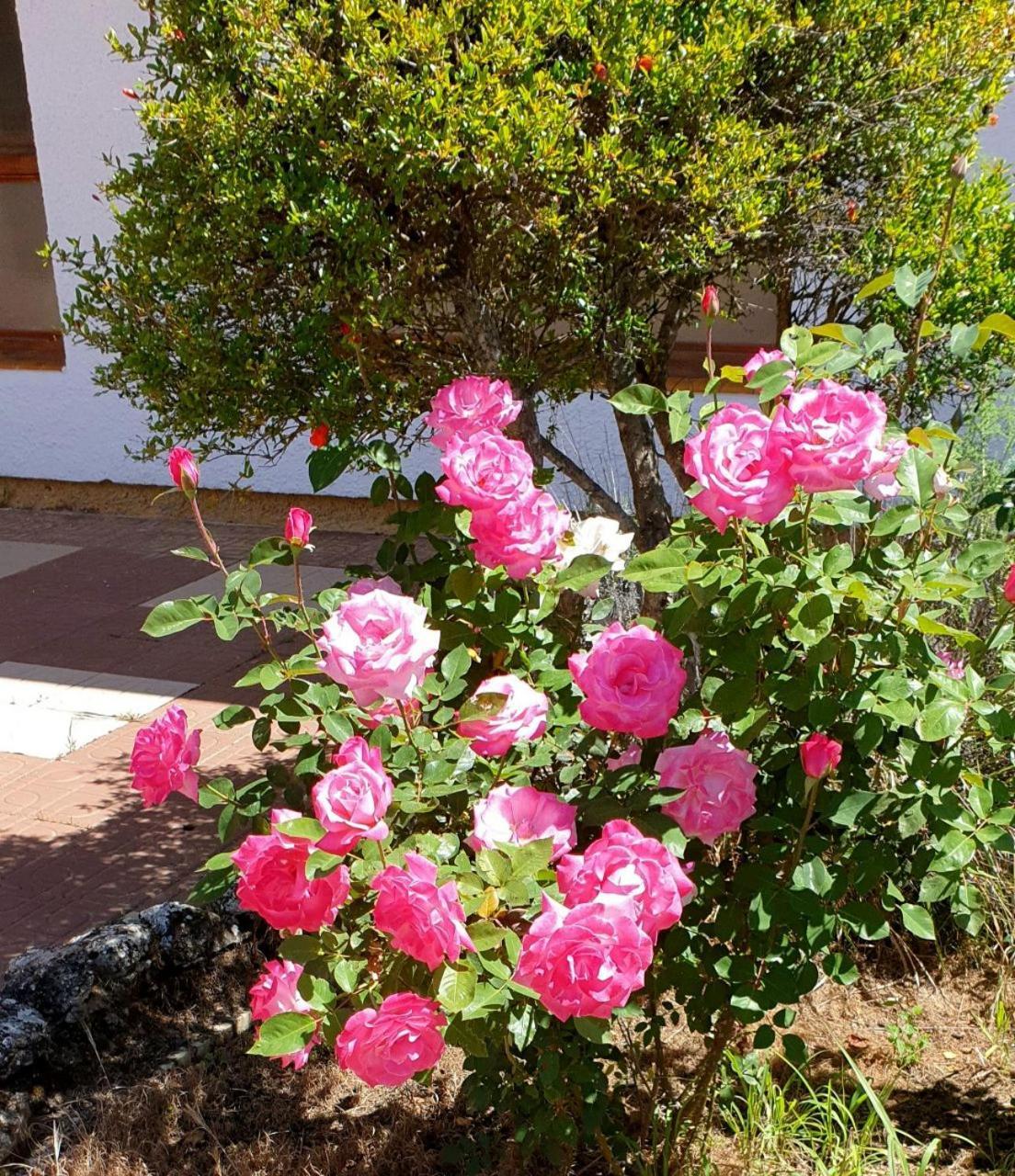 Arboledas Rural * Baeza