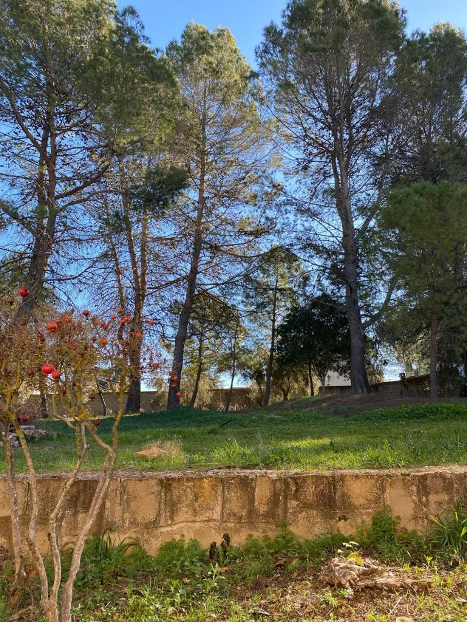 Arboledas Rural Vakantiehuis *